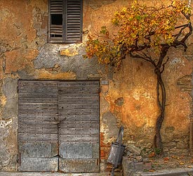 Kookcursus in Marche, Itali�.Italiaanse Kookcursussen.