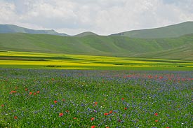 Castelluccio, Marche, Italie
