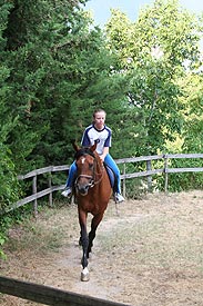 paarden op Caravanserraglio Marche Italie