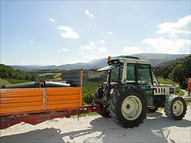 Caldarola Marche, Italy