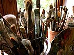 Art Courses Italy, Italy Arts