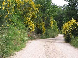 italie-begeleide-excursies Marche Italy