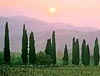 Groepsreizen Italie, kookcursussen met begeleide excursies in Marche, Toscane, Umbrie
