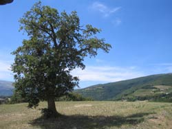 italie-begeleide-excursies Marche Italy