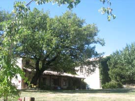 The agriturismo, Marche Italy