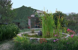 The agriturismo, Marche Italy