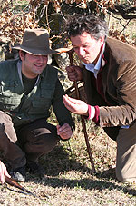 Italy Hunting Truffle