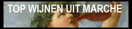 Top kwaliteitswijnen uit Marche, Italie