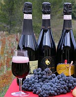 Vernaccia di Serrapetrona Rosso D.O.C.G., Serrapetrona Rosso D.O.C. Vernaccia di Serrapetrona Rosso D.O.C.G.