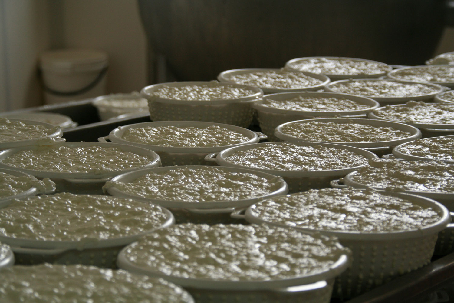 Cheese making, Summer cooking classes in Italy