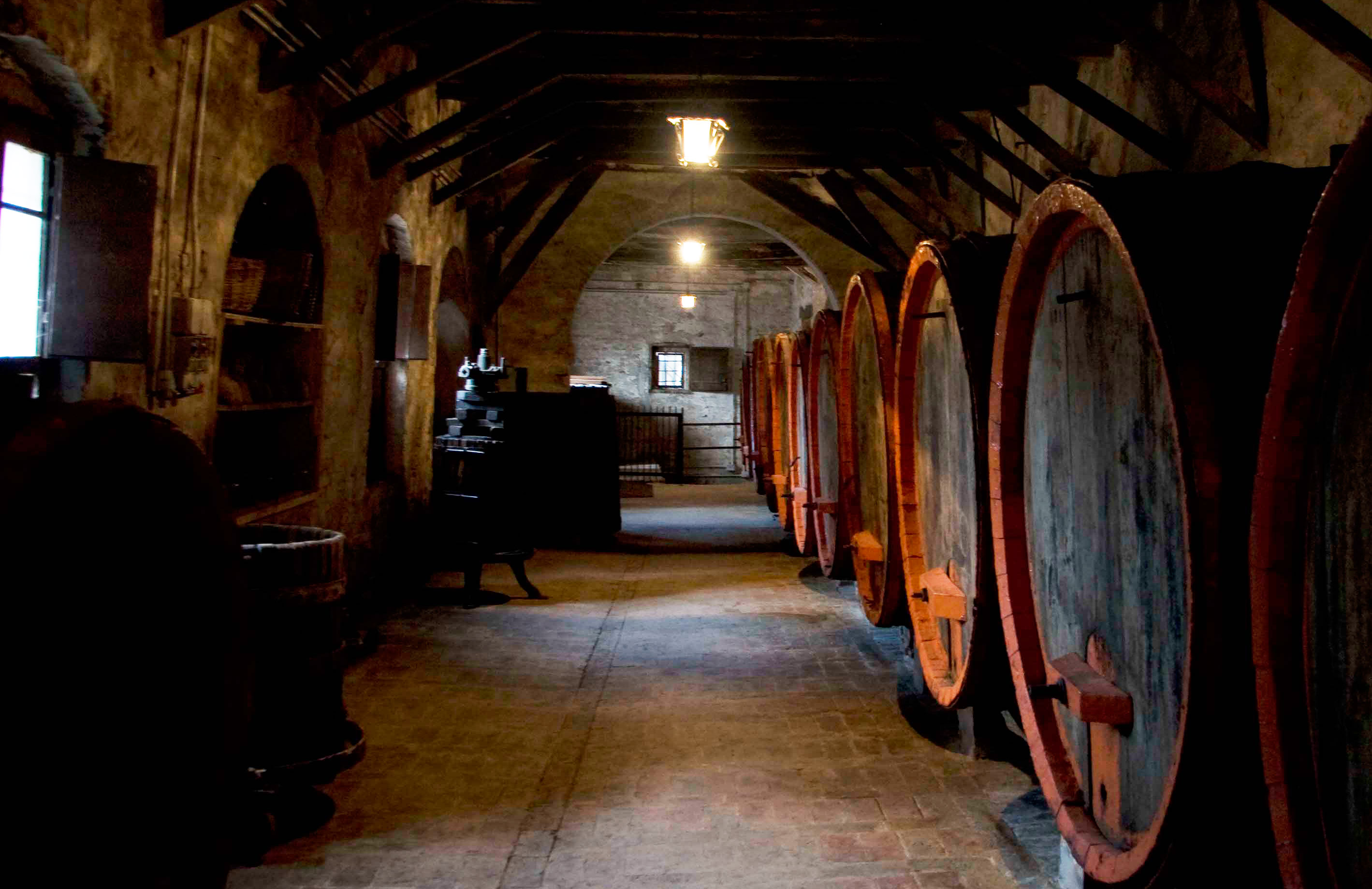 Visit to wine cellar in Marche