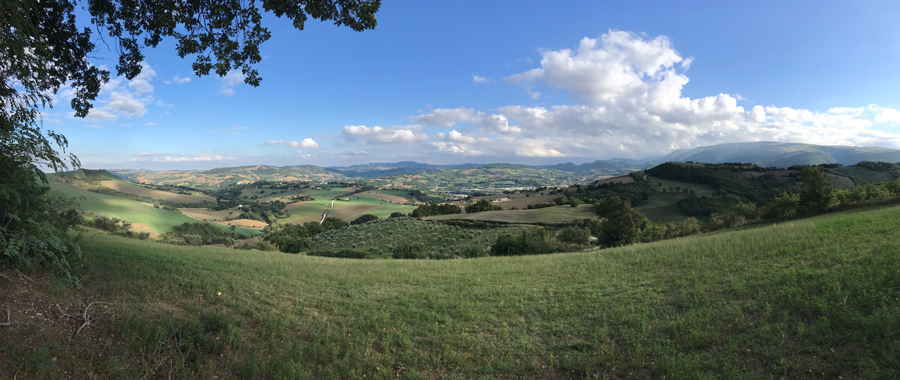 The beautiful territory of Le Marche