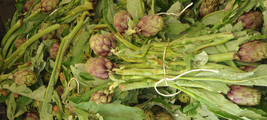 Italian Cooking classes with art excursions in Italy
