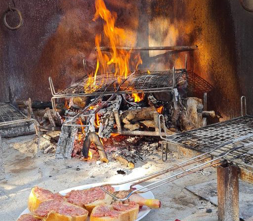 the fire and the barbecue for fantastic grills