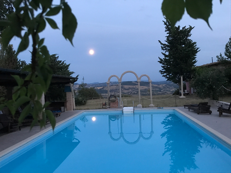 Accommodation with pool