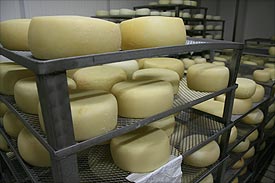 culinary tours, Marche