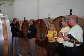 Vernaccia di Serrapetrona wines Italy