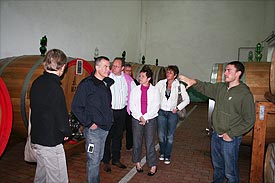 wine lessons in Marche