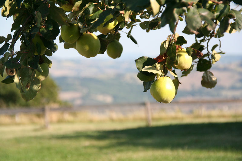 Summer Holiday in Marche Italy