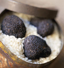 Truffle Cooking Course Marche Italy
