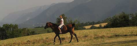 landscape in Le Marche