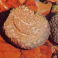 Truffle Marche Italy: Tuber Aestivum Vitt. (Tartufo scorzone) 