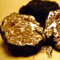 Truffle Marche Italy : Tuber Brumale Vitt. (Tartufo nero d'Inverno) 